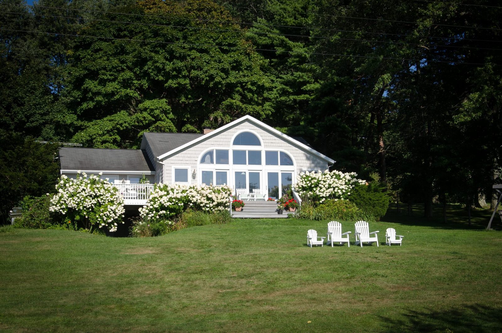Daylilies above the lawn, the dock and lake beyond