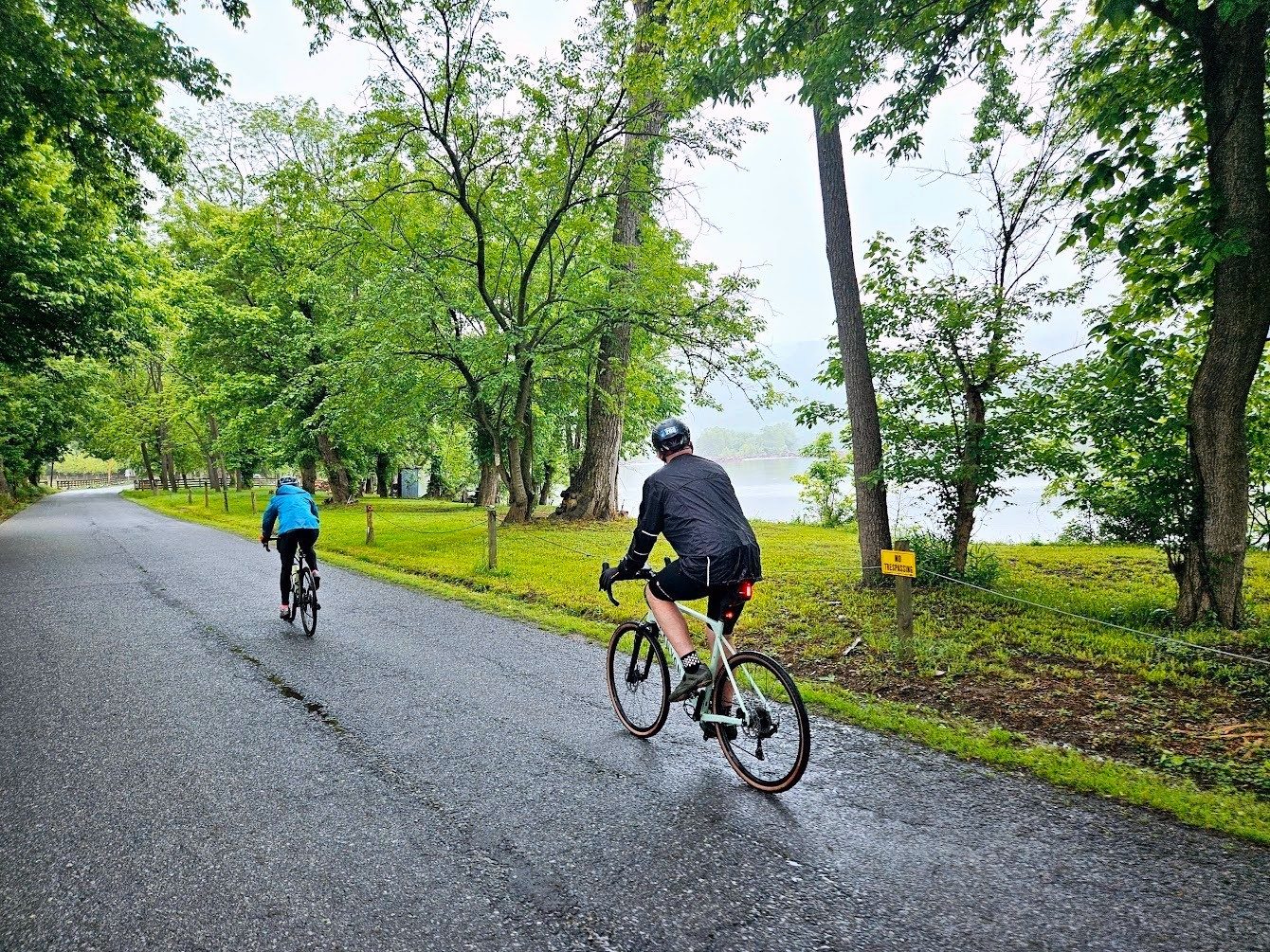 Two cyclists riding a wet, tree-lined road beside a river on a misty morning